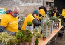 Bürger*innen schicken Kaiserslautern auf Klimaneutralitätskurs