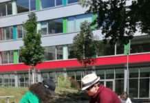 Jetzt anmelden: Sommerschule der Stadt Kaiserslautern