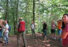 Biosphären-Guide-Tour zu den Auswirkungen der Klimakrise im Pfälzerwald