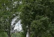 Thema „Gurs“ erreicht rund 3.000 Menschen