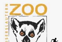 ZoolaufKL – Spenden für den Siegelbacher Zoo