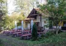 14.000 Euro für PWV-Keltenhütte Donnersberg – Hüttenaufbauprogramm des Bezirksverbands Pfalz fruchtet