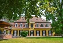 Neue Schauräume zum Geburtstag – Pfalzmuseum für Naturkunde vor 40 Jahren eingeweiht