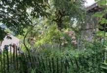 Veranstaltungen für alle im Projekt „Gärten für die Artenvielfalt“