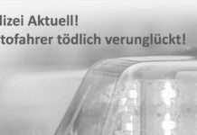 Autofahrer tödlich verunglückt