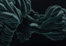 Natur im Blick – Online-Künstlergespräch des mpk mit Thomas Kitzinger