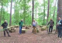 Insgesamt 10 Hektar Wald für den Ruheforst