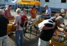 Bücherflohmarkt verspricht Fundstücke – Hof-Antiquariat der Pfalzbibliothek Kaiserslautern