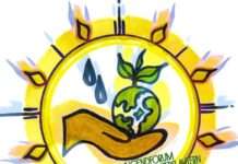 Umfrage: Nachhaltigkeit in Kaiserslautern – Vorbereitung auf Workshop im Herbst