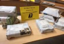 Überraschungen aus der Themenbox – Neues Angebot der Pfalzbibliothek Kaiserslautern