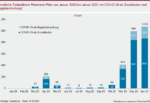 RLP – Neues Datenangebot: Vorläufige monatliche Todesursachenstatistik