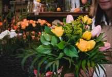 Floristik: Fünf Prozent mehr Geld für 50 Beschäftigte in Kaiserslautern