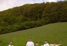 Donnersberger Lammwochen – Kulinarisches für Genießer in sechs Restaurants sowie im Hofladen der Neumühle