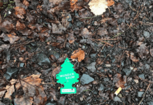 Engagierte Umweltschützerinnen und Umweltschützer sammeln Müll ein