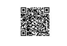 Hundehalter müssen Steuern zahlen – Verwaltung gewährt straffreies Nachmelden bis 31. Oktober