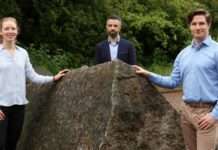 Start-up entwickelt Software, um Vorhersagen bei Simulationen zu automatisieren