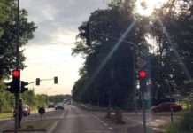 Mit Bagger an Ampel hängen geblieben