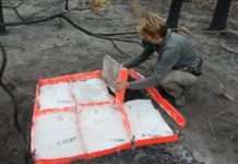 Kunst im Anthropozän – Gespräch über Betty Beiers Erdschollen im mpk