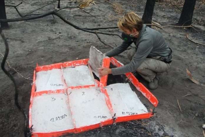 Betty-Beier_Bodenabnahme-im-verbrannten-Wald_Tres-Gigantes_Pantanal-Paraguay_2019_Foto L.M.Mendez, © L.M.Mendez