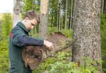 Veranstaltungsreihe „Klimawandel-Wanderungen“