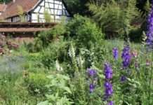 Gärten für die Artenvielfalt prämiert