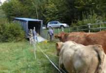 Befähigungsnachweis Tiertransport – Lehrgang und Vorbereitungstag im Hofgut Neumühle