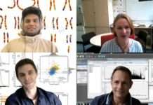 Wenn ein Chromosom im doppelten Satz fehlt: Wie reagieren menschliche Körperzellen auf Monosomie?