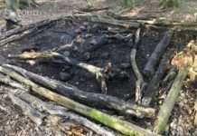 Feuer im Wald entzündet – Zeugen gesucht!