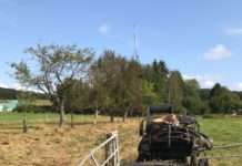 Verletzte nach Kutschfahrt