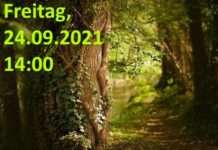 Vogelschutzverein Kaiserslautern – Wir benötigen Hilfe