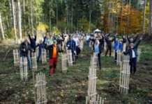 500 Bäume gepflanzt – SWK Stadtwerke Kaiserslautern kooperieren mit Landesforsten RLP