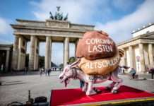 Ein Esel und fünf Steine für die Berliner Parteien