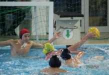 Wo Krokodile auf Rundschwanz-Seekühe treffen