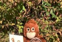 Dem Herbst auf der Spur