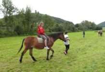 Prävention im Pferdesport – Seminar im Hofgut Neumühle