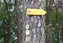 Abgestimmtes Hauptwanderwegenetz im Pfälzerwald