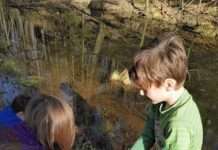 Biosphärenschulen im Biosphärenreservat Pfälzerwald – Drei Schulen für Pilotphase ausgewählt