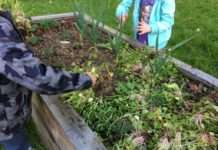 Netzwerk Schulgarten hat sich formiert