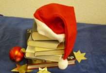 Weihnachts-Bücherbasar in der Pfalzbibliothek – Lesung mit Michael Geib