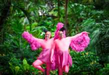 Mundstuhl „Flamongos“-Tour 2021, Kammgarn 08.12.