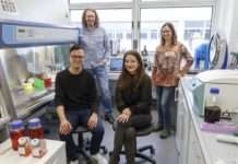 Mechanismus für Unempfindlichkeit gegenüber wichtigem Malariamittel bei neuer Erreger-Variante entdeckt