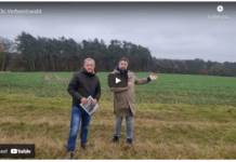 „Initiative #Verbandswald: 15.000 Bäume werden in Mehlingen gepflanzt