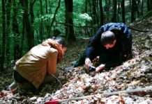 Bewerbung für Umweltpraktikum im Biosphärenreservat eröffnet