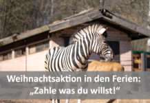 Zoo: Eintrittspreise selbst bestimmen