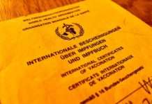 Gefälschte Impfausweise auch in Rheinland-Pfalz im Umlauf – Hinweise für Personen, die Impfnachweise kontrollieren