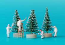 Wie soll der Wald in Zukunft aussehen?