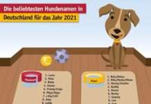 Tassso: Beliebtesten Hunde und Katzen Namen 2021