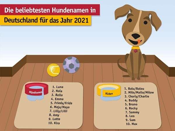 Hundenamen 2021