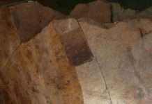 Einführung in die Gesteinsbestimmung – Fortbildung für Schüler und Erwachsene im Urweltmuseum Geoskop