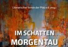 Bezirksverband Pfalz unterstützt elf Kulturprojekte